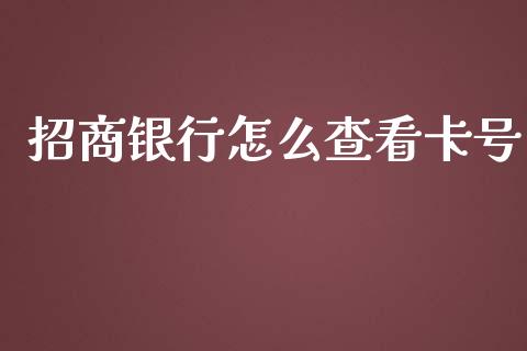 招商银行怎么查看卡号_https://m.ycdhulan.com_国际金融_第1张