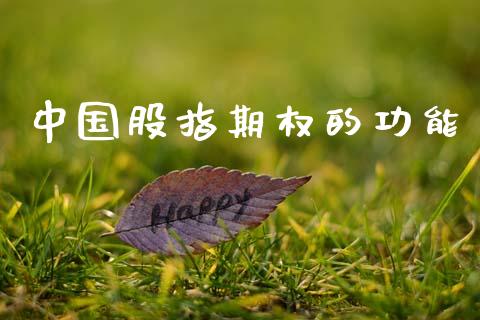 中国股指期权的功能_https://m.ycdhulan.com_股市在线_第1张