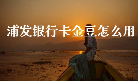浦发银行卡金豆怎么用_https://m.ycdhulan.com_财经要闻_第1张