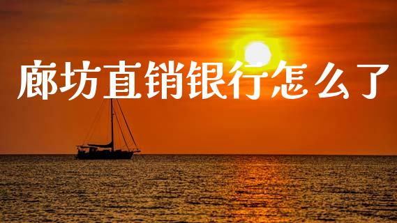 廊坊直销银行怎么了_https://m.ycdhulan.com_国际金融_第1张