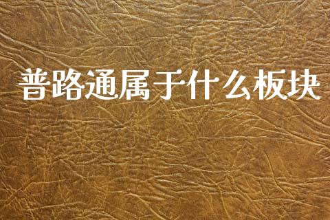 普路通属于什么板块_https://m.ycdhulan.com_期货交易_第1张