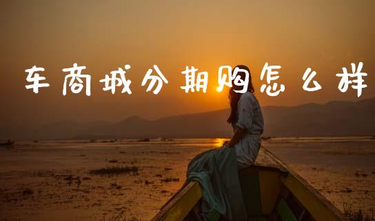 车商城分期购怎么样_https://m.ycdhulan.com_财经要闻_第1张