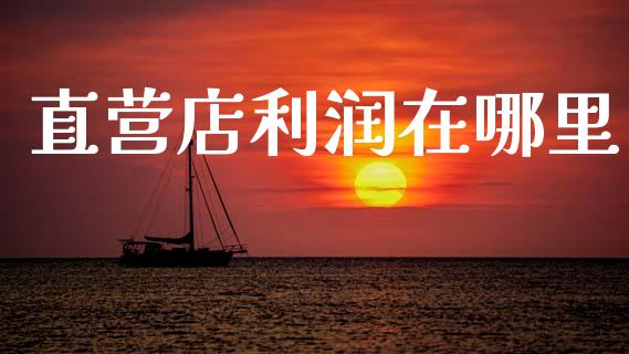 直营店利润在哪里_https://m.ycdhulan.com_财经要闻_第1张