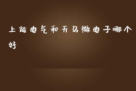 上能电气和天马微电子哪个好_https://m.ycdhulan.com_理财产品_第1张