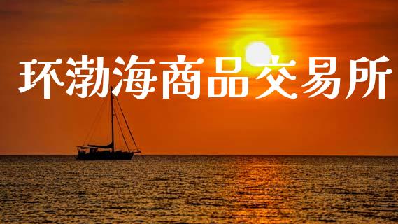 环渤海商品交易所_https://m.ycdhulan.com_股市在线_第1张