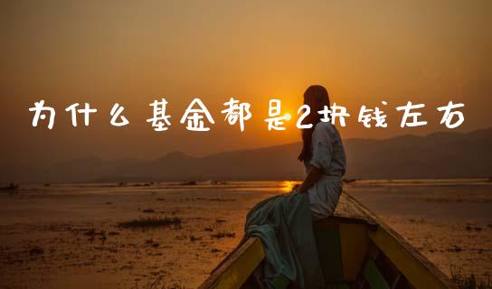 为什么基金都是2块钱左右_https://m.ycdhulan.com_股市在线_第1张