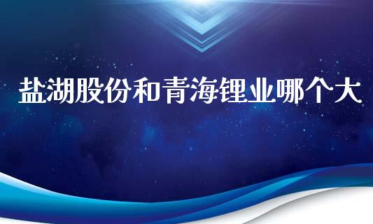 盐湖股份和青海锂业哪个大_https://m.ycdhulan.com_股市在线_第1张