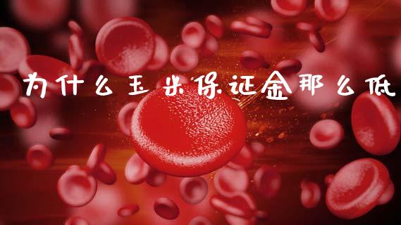 为什么玉米保证金那么低_https://m.ycdhulan.com_理财产品_第1张