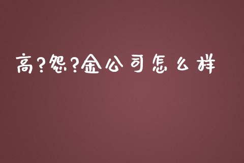 高?怨?金公司怎么样_https://m.ycdhulan.com_理财产品_第1张
