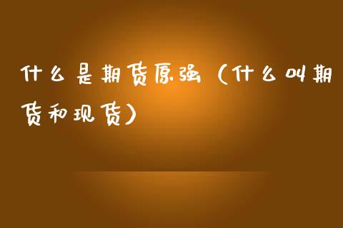 什么是期货原强（什么叫期货和现货）_https://m.ycdhulan.com_期货交易_第1张