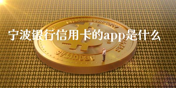 宁波银行信用卡的app是什么_https://m.ycdhulan.com_期货交易_第1张
