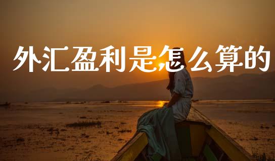 外汇盈利是怎么算的_https://m.ycdhulan.com_理财产品_第1张