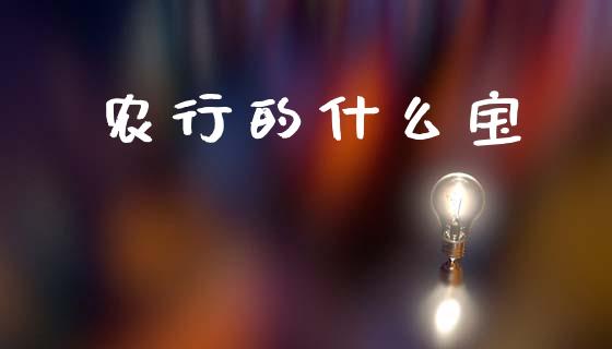 农行的什么宝_https://m.ycdhulan.com_国际金融_第1张