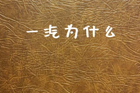 一汽为什么_https://m.ycdhulan.com_股市在线_第1张
