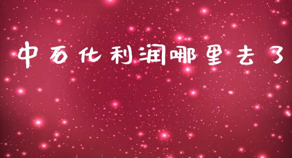 中石化利润哪里去了_https://m.ycdhulan.com_财经要闻_第1张