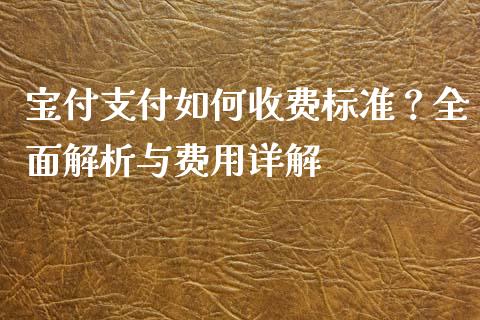 宝付支付如何收费标准？全面解析与费用详解_https://m.ycdhulan.com_期货交易_第1张