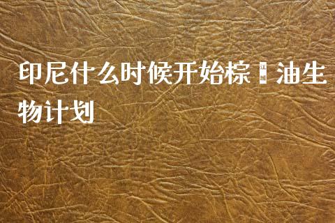 印尼什么时候开始棕榈油生物计划_https://m.ycdhulan.com_财经要闻_第1张