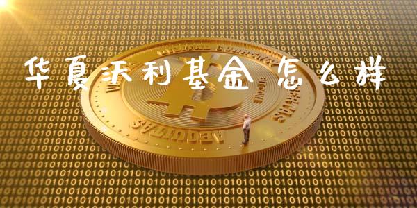华夏沃利基金 怎么样_https://m.ycdhulan.com_国际金融_第1张