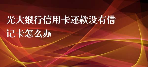 光大银行信用卡还款没有借记卡怎么办_https://m.ycdhulan.com_理财产品_第1张