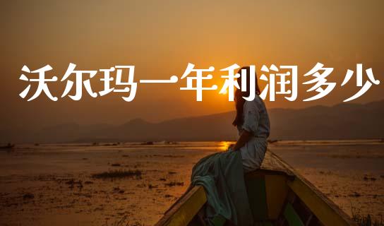 沃尔玛一年利润多少_https://m.ycdhulan.com_国际金融_第1张