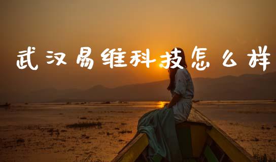 武汉易维科技怎么样_https://m.ycdhulan.com_国际金融_第1张
