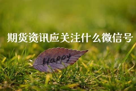 期货资讯应关注什么微信号_https://m.ycdhulan.com_股市在线_第1张