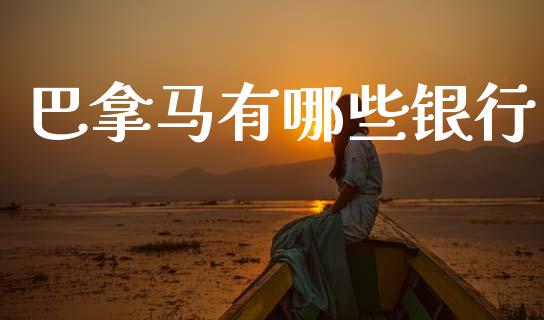 巴拿马有哪些银行_https://m.ycdhulan.com_国际金融_第1张