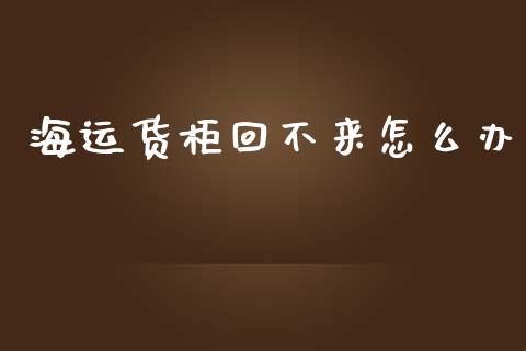 海运货柜回不来怎么办_https://m.ycdhulan.com_股市在线_第1张