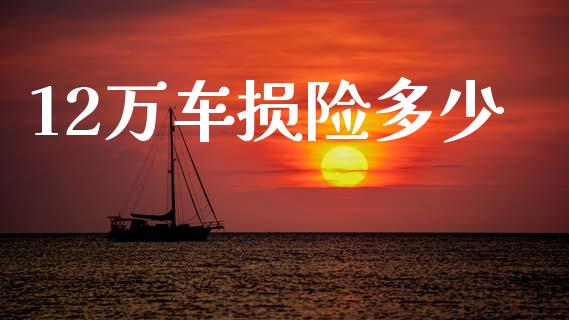 12万车损险多少_https://m.ycdhulan.com_财经要闻_第1张