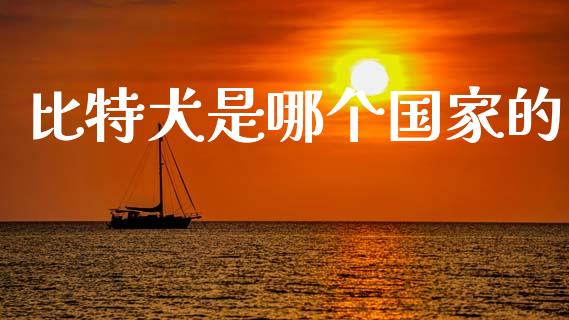 比特犬是哪个国家的_https://m.ycdhulan.com_财经要闻_第1张