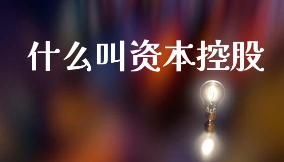 什么叫资本控股_https://m.ycdhulan.com_国际金融_第1张