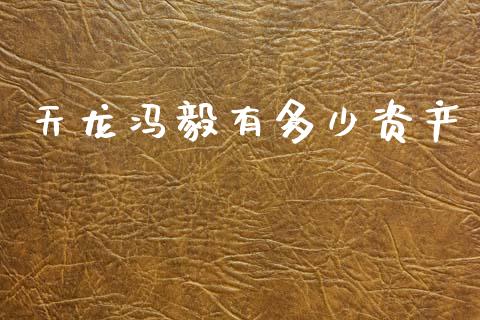 天龙冯毅有多少资产_https://m.ycdhulan.com_财经要闻_第1张