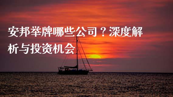 安邦举牌哪些公司？深度解析与投资机会_https://m.ycdhulan.com_国际金融_第1张