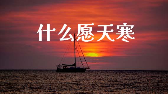 什么愿天寒_https://m.ycdhulan.com_股市在线_第1张