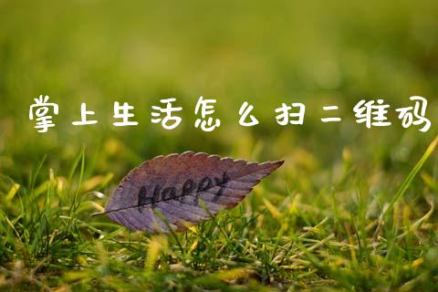 掌上生活怎么扫二维码_https://m.ycdhulan.com_国际金融_第1张