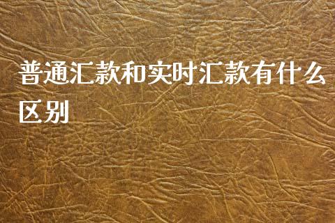 普通汇款和实时汇款有什么区别_https://m.ycdhulan.com_财经要闻_第1张