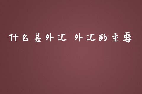 什么是外汇 外汇的主要_https://m.ycdhulan.com_理财产品_第1张