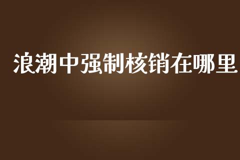 浪潮中强制核销在哪里_https://m.ycdhulan.com_财经要闻_第1张