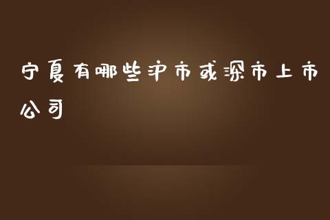 宁夏有哪些沪市或深市上市公司_https://m.ycdhulan.com_财经要闻_第1张