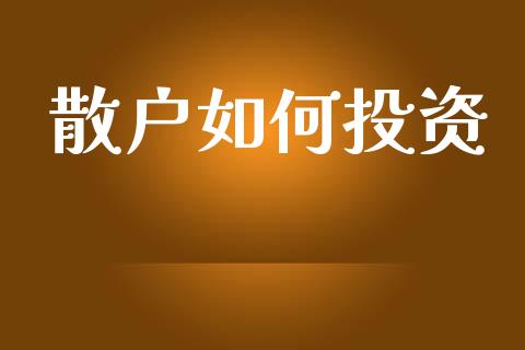 散户如何投资_https://m.ycdhulan.com_财经要闻_第1张