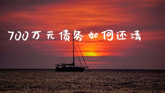 700万元债务如何还清_https://m.ycdhulan.com_财经要闻_第1张