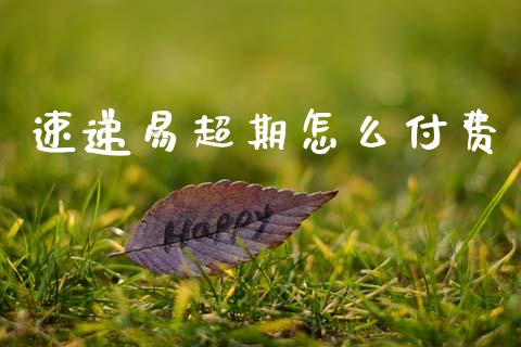 速递易超期怎么付费_https://m.ycdhulan.com_证券新闻_第1张