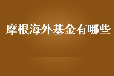 摩根海外基金有哪些_https://m.ycdhulan.com_国际金融_第1张
