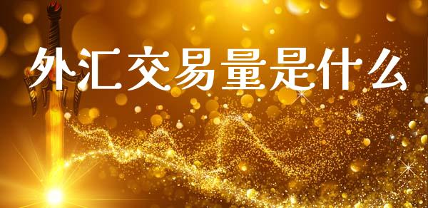 外汇交易量是什么_https://m.ycdhulan.com_理财产品_第1张