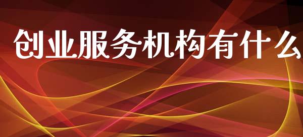 创业服务机构有什么_https://m.ycdhulan.com_国际金融_第1张