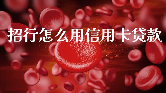 招行怎么用信用卡贷款_https://m.ycdhulan.com_国际金融_第1张
