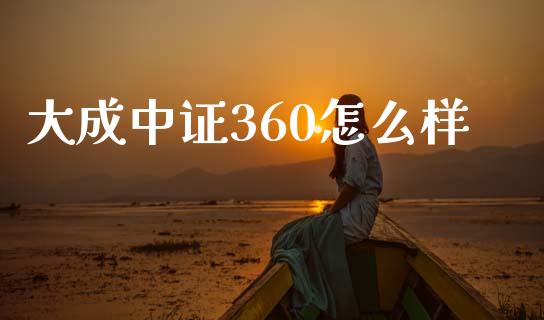 大成中证360怎么样_https://m.ycdhulan.com_国际金融_第1张