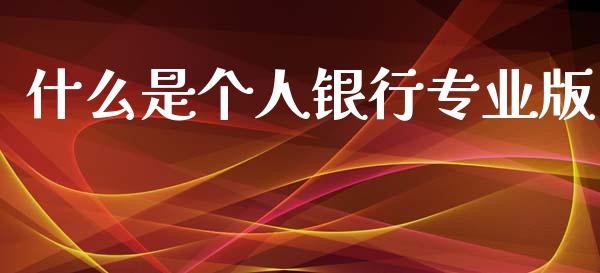 什么是个人银行专业版_https://m.ycdhulan.com_股市在线_第1张