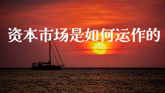 资本市场是如何运作的_https://m.ycdhulan.com_股市在线_第1张