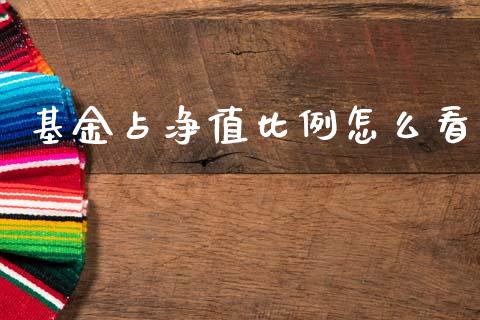基金占净值比例怎么看_https://m.ycdhulan.com_国际金融_第1张